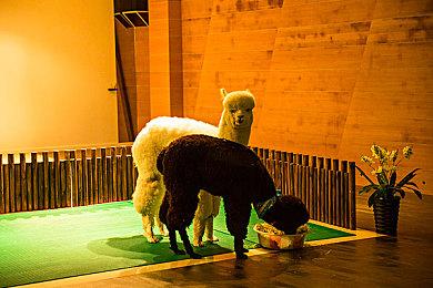 《上古卷轴4：重制版》某玩家因Bug“服刑”19年引发热议